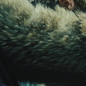 Meet your Posher, Novia